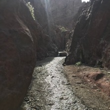 heading up Hot Springs Canyon, before you reach the springs